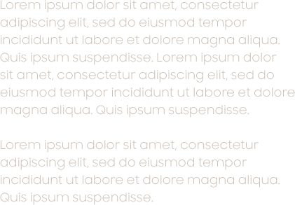 Lorem ipsum dolor sit amet, consectetur adipiscing elit, sed do eiusmod tempor incididunt ut labore et dolore magna aliqua.  Quis ipsum suspendisse. Lorem ipsum dolor  sit amet, consectetur adipiscing elit, sed do eiusmod tempor incididunt ut labore et dolore magna aliqua. Quis ipsum suspendisse. Lorem ipsum dolor sit amet, consectetur adipiscing elit, sed do eiusmod tempor incididunt ut labore et dolore magna aliqua.  Quis ipsum suspendisse.